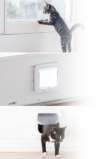 Cat-Flap-Fitting-Service Cat-Flap-Fitting-Service
